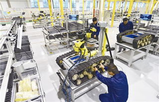 智能制造新模式 特種機(jī)器人制造智能化工廠 項(xiàng)目順利通過驗(yàn)收